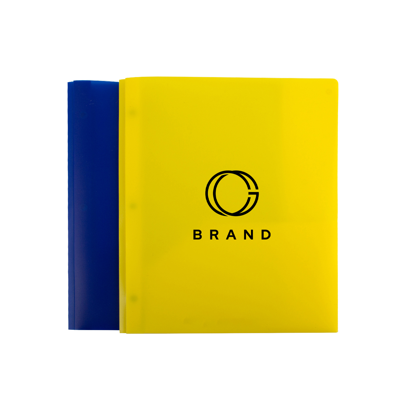 2 Pockets Plastic Folder With 3 Hole