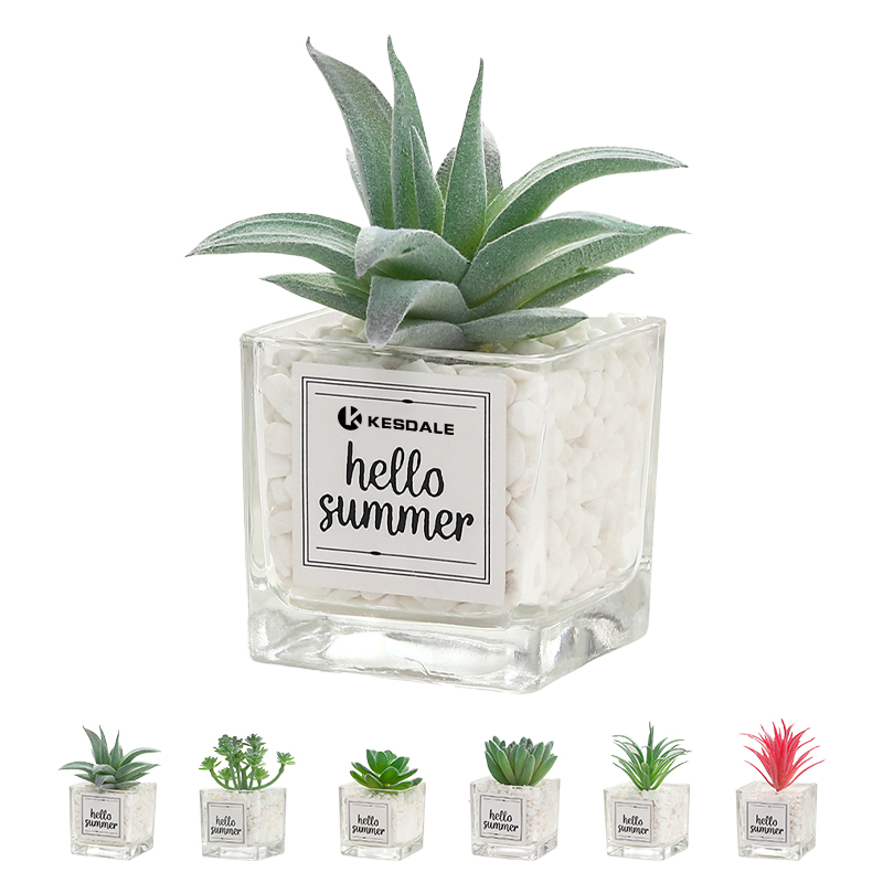Small Artificial Succulent Plant WIth Pot