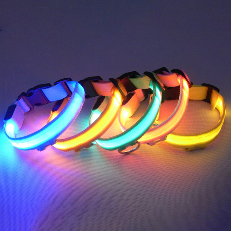 Light Up Dog Collar