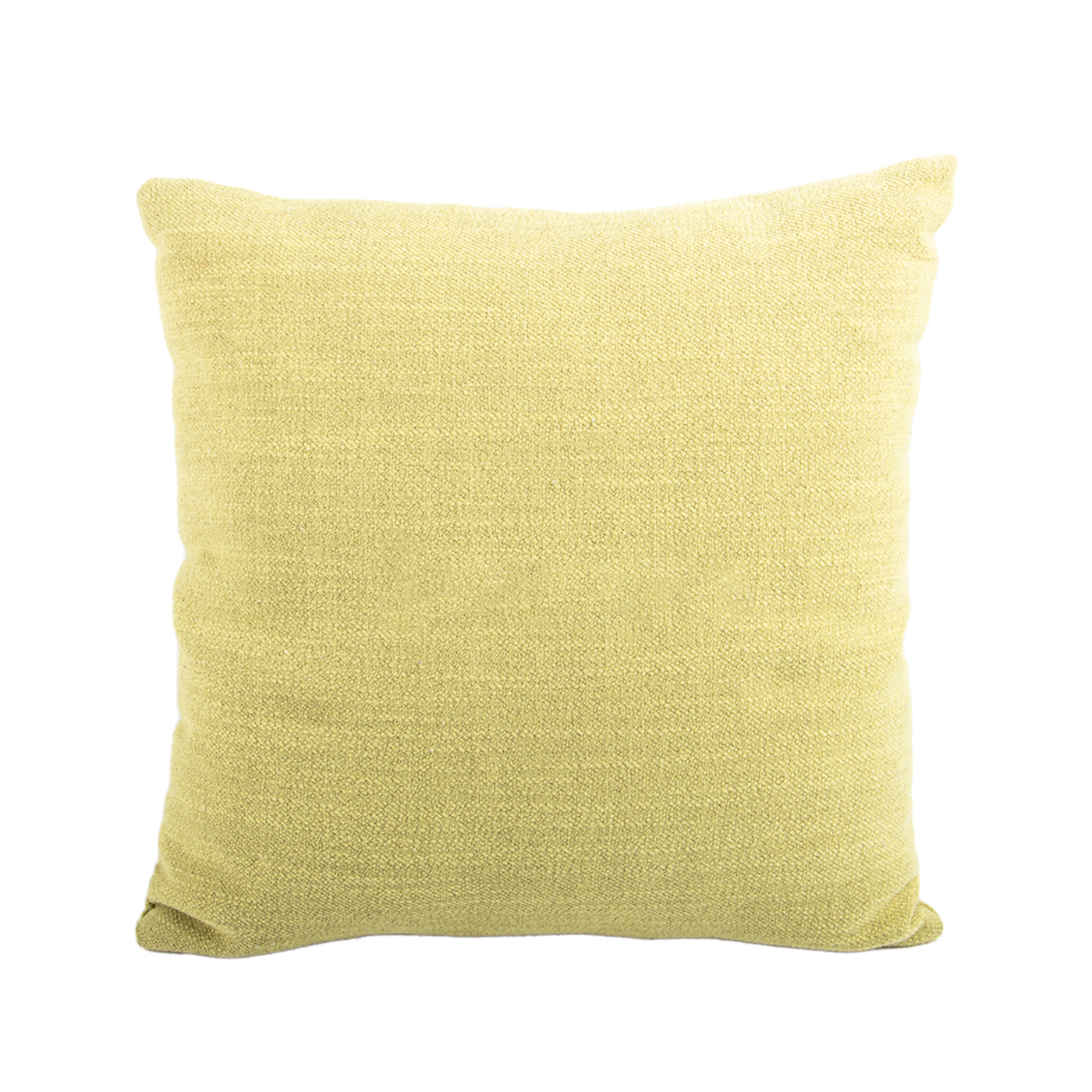 Decorative Square Throw Pillow