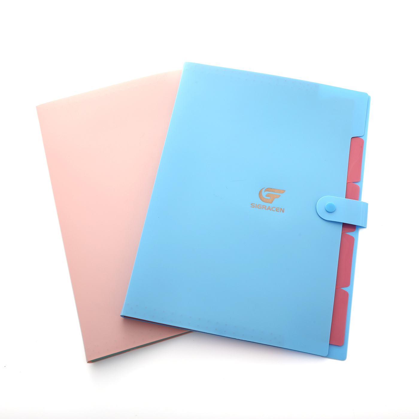 Expanding File Folder With 5 Pockets