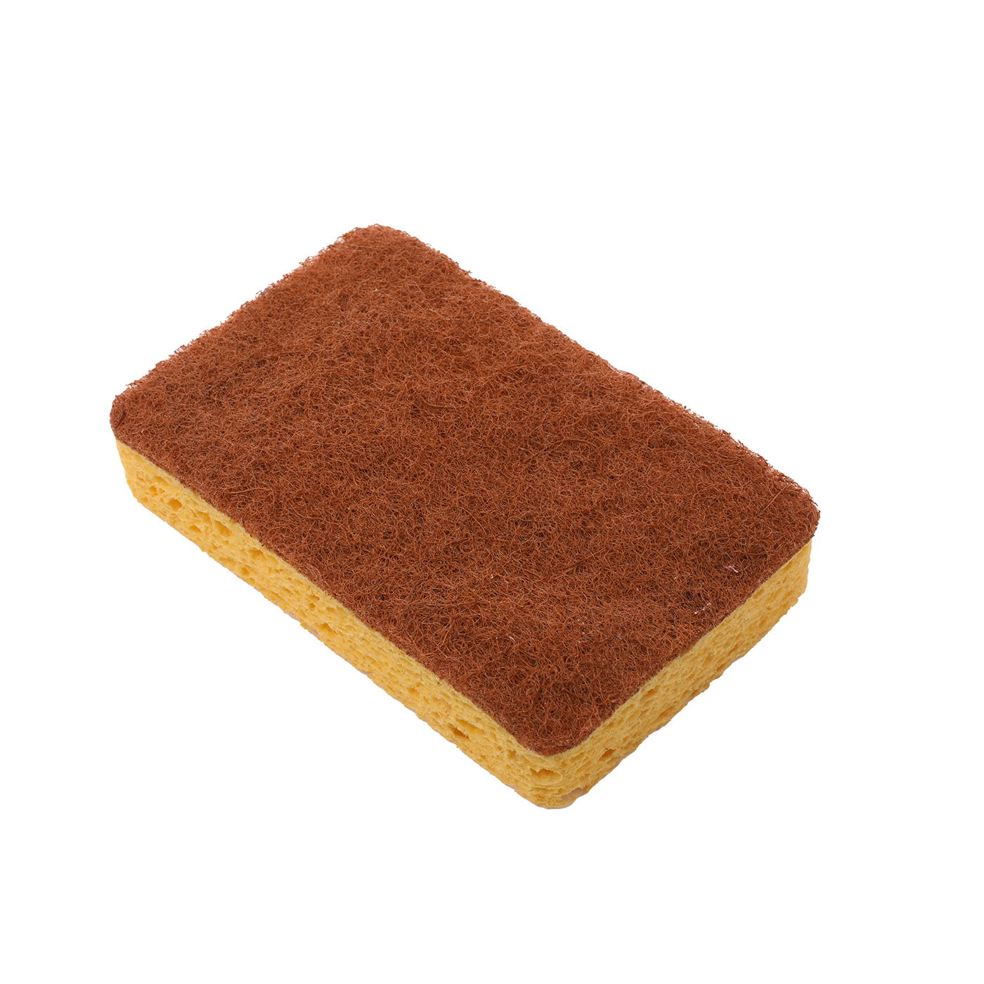 Kitchen Sponge With Palm Fiber Scrubber