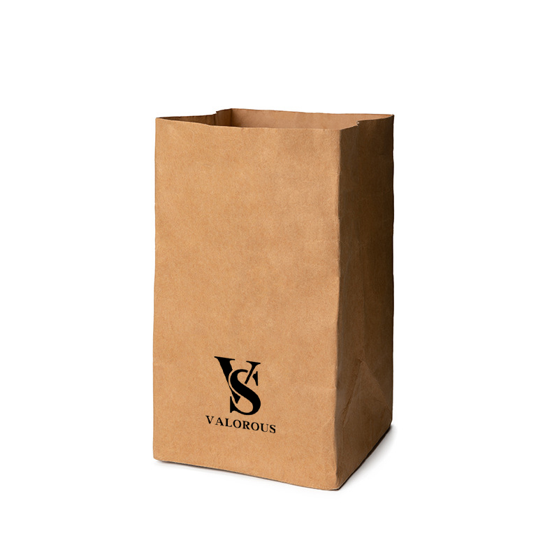 Small Kraft Brown Paper Grocery Bag