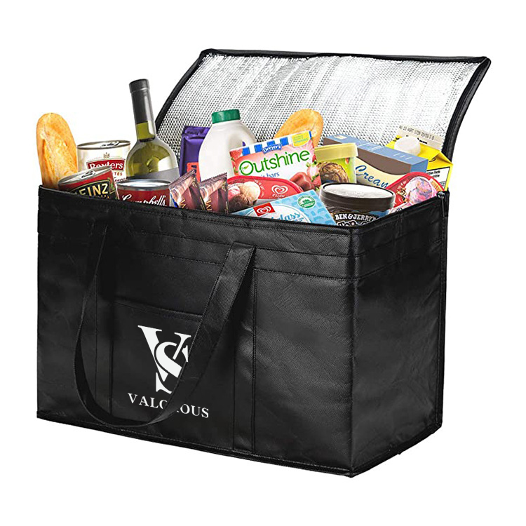 Non Woven Cooler Bag