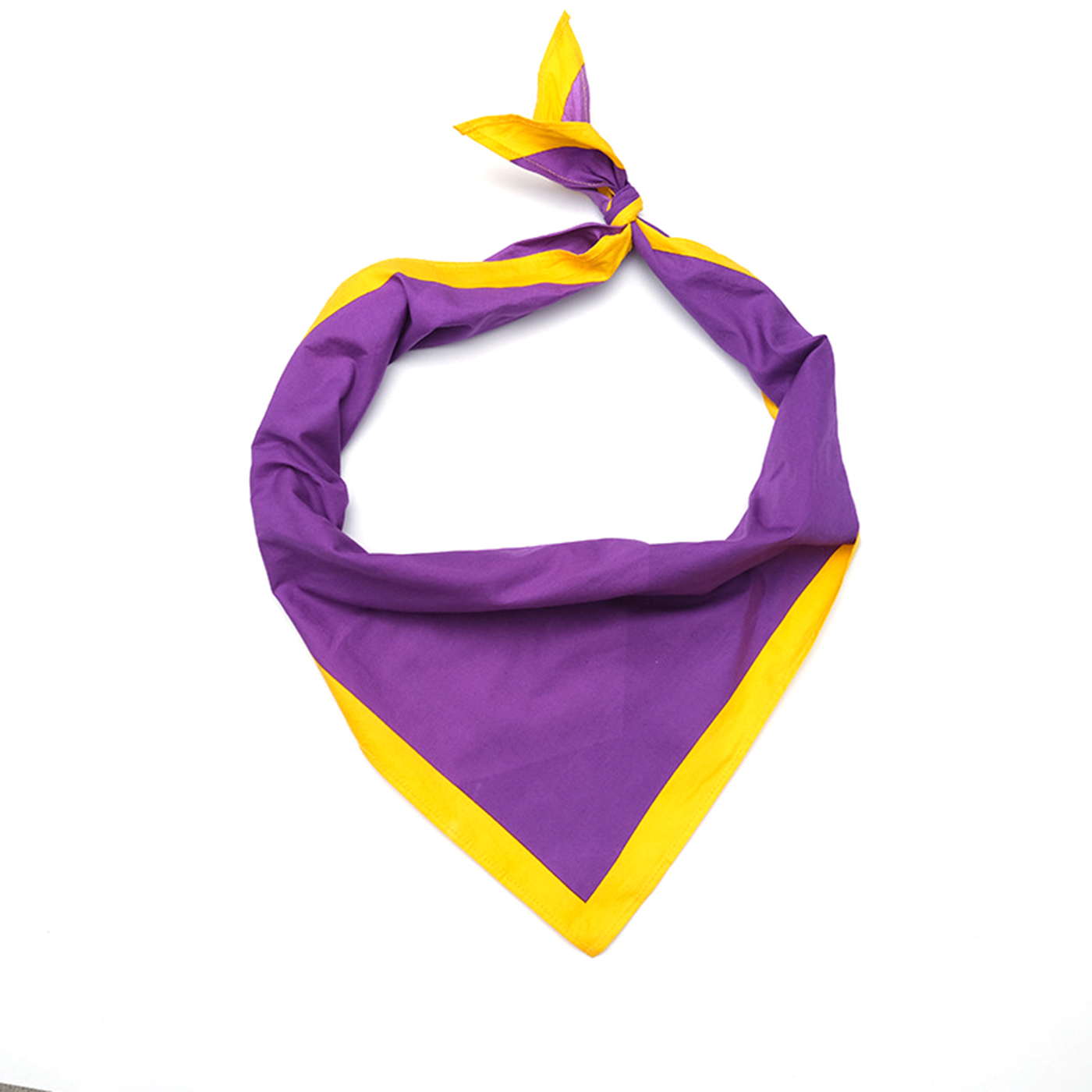 Custom Large Triangle Bandanas