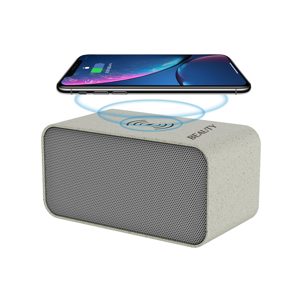 Portable Wireless Speaker 