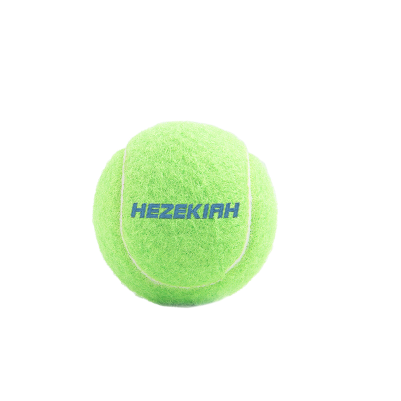 Small Dog Tennis Ball
