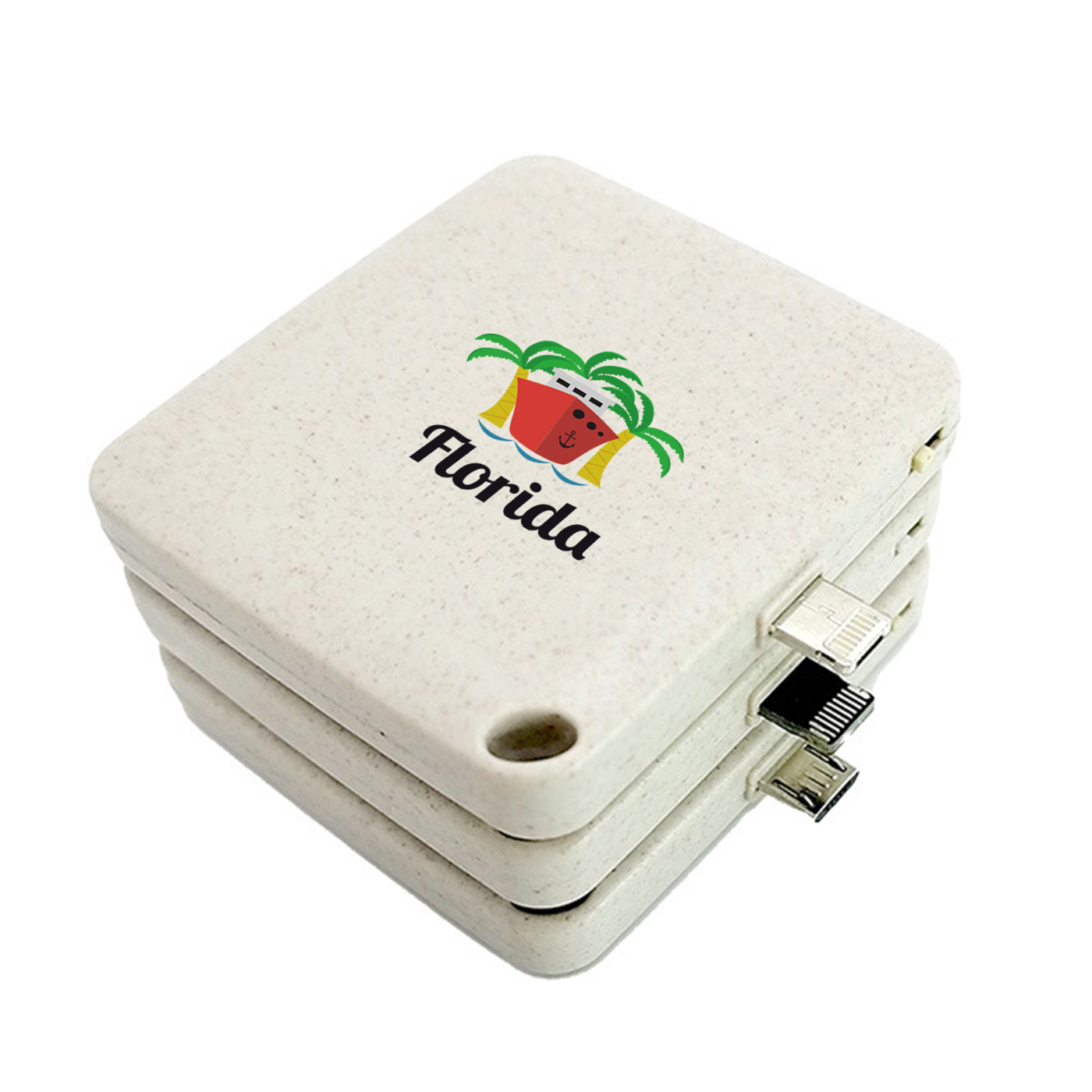 Emergency Biodegradable Disposable Powerbank