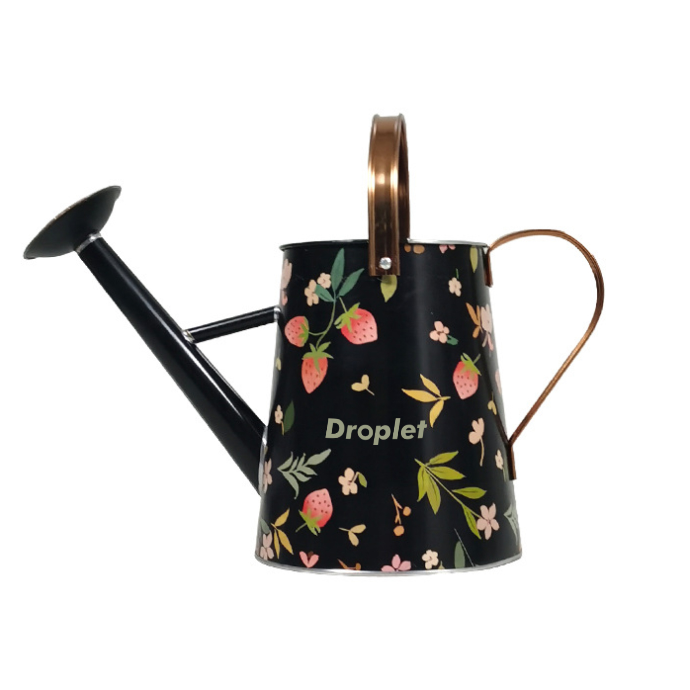 Personalized Garden Watering Can
