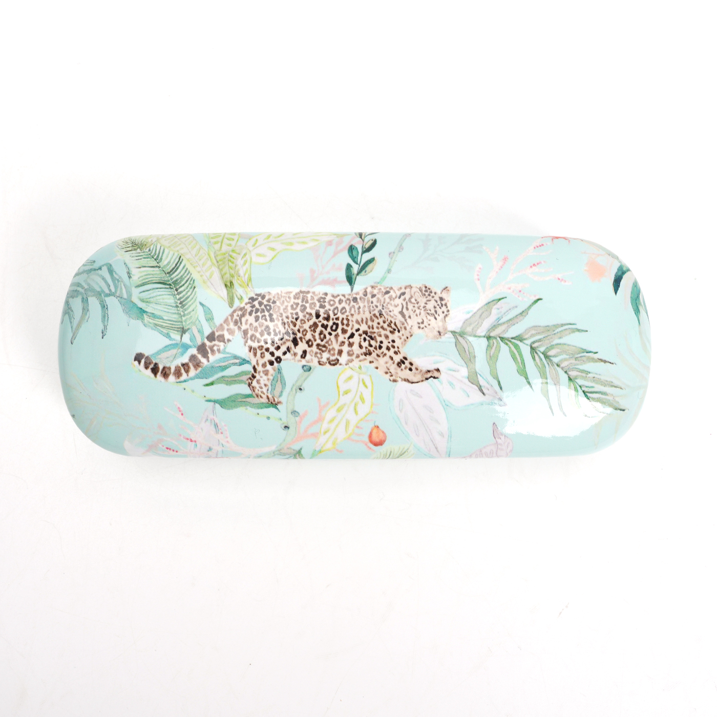 Hard Shell Eye Glass Case